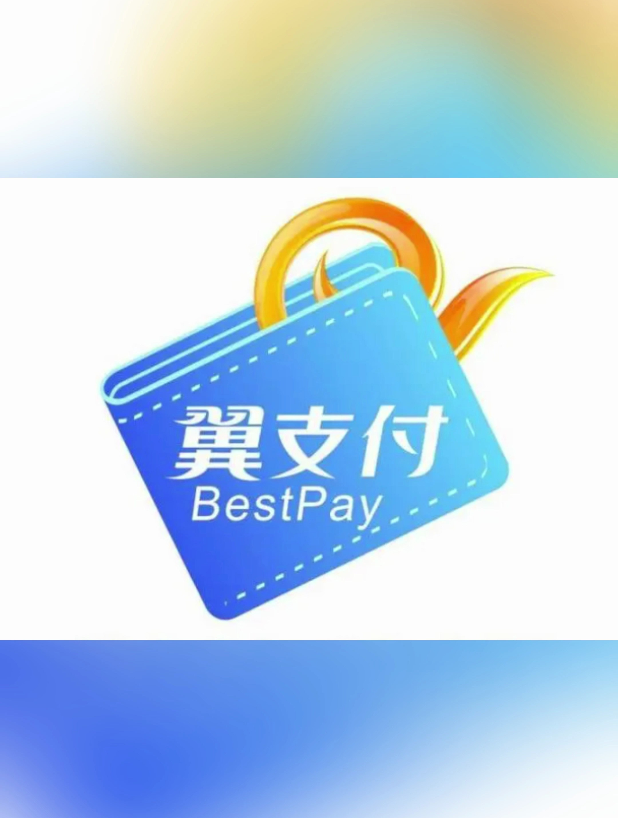 翼支付
